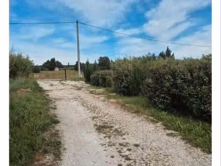terrain à louer