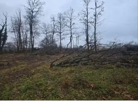 terrain constructible