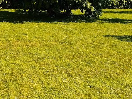 recherche terrains agricoles