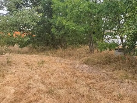 terrain constructible
