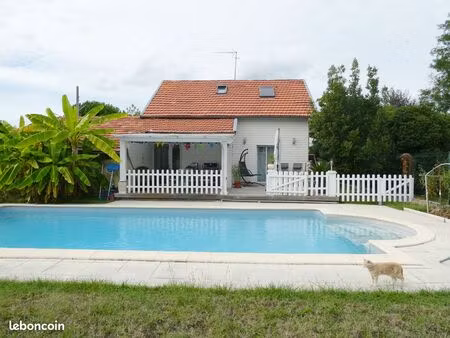 montauban maison 100 m2 avec piscine sur 523 m2