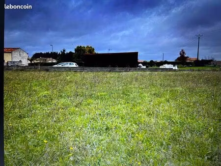 terrain constructible