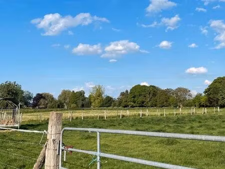 pâture pour cheval à louer