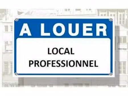 local professionnel  artisanal  stockage