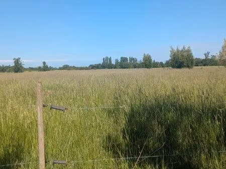 location pâture champ
