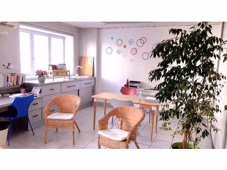 local professionnel - oullins