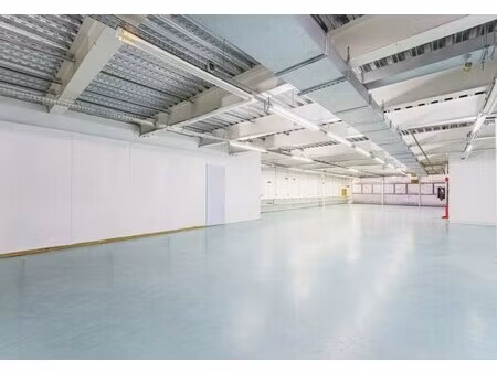 location bureaux 250 m² à 1 250 m²
