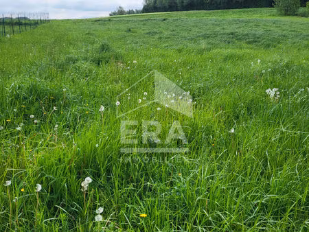 terrain beaurainville 1268 m2