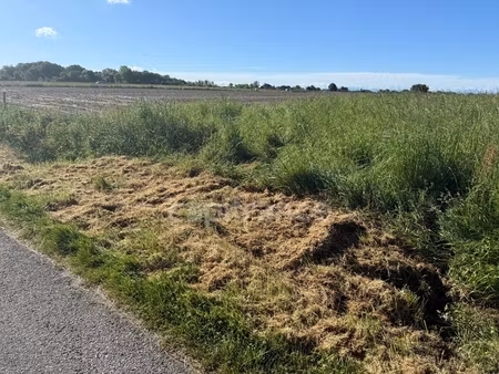 terrain agricole à vendre rieumes (31)