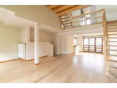 superbe duplex 2ch avec terrasse et garage