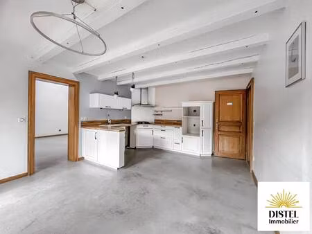 distel immobilier