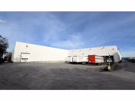 entrepôt logistique à louer à hoogveld à dendermonde