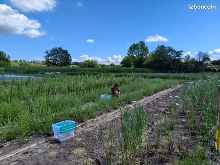 recherche terrain agricole