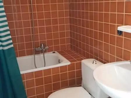 location appartement 1 pièce 22 m² à mulhouse (68100)  420 €