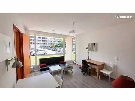 studio 1 pièce 33 m²