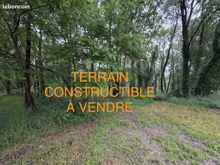 terrain 7847 m² bernos-beaulac