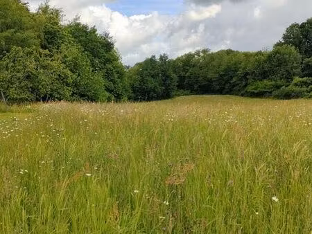 terrain 2352 m² juillac