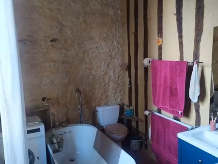 appartement 55m² lumineux  calme et bien restauré