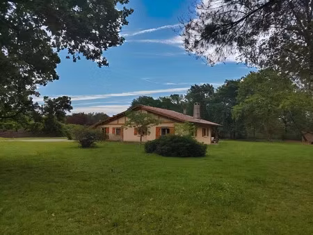 maison landaise à vendre à salles - 4 ch - 4100 m²