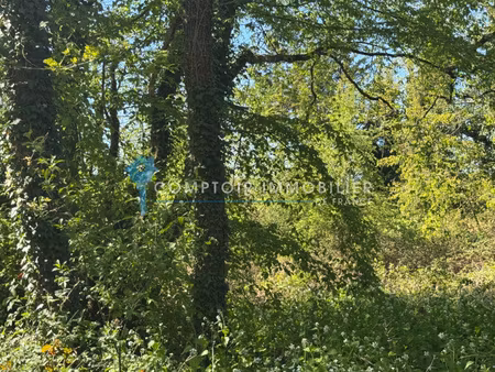 terrain 6 080 m² soisy-sur-école (91840)