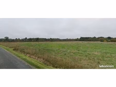 terrain 10 600 m² pompejac