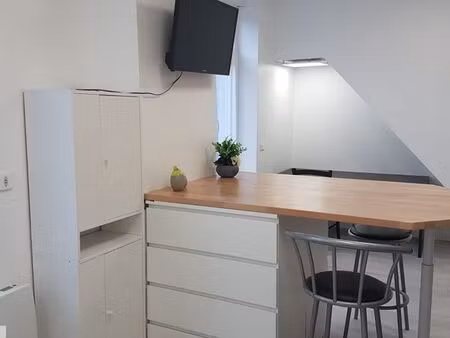 studio meublé 18m2 refait à neuf (1a)