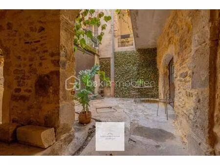 dans un ancien cloître  appartement de charme + dépendances