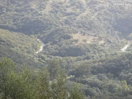terrains boisés avec bergerie cadastrée (ruine)