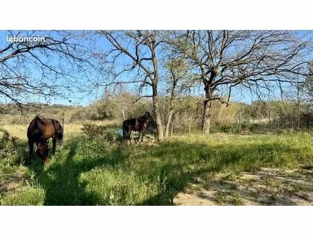 location paddock chevaux