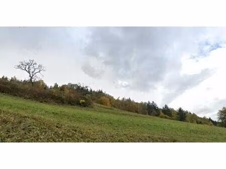 terrain à vendre