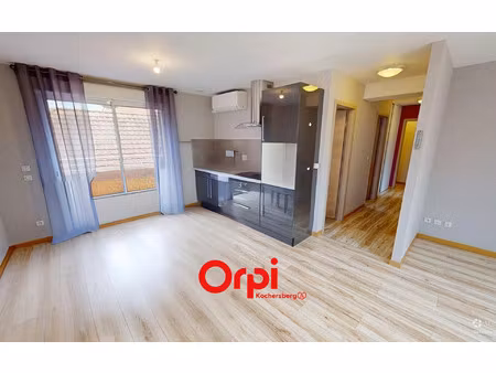 location appartement  53.74 m² t-3 à stutzheim-offenheim  750 €