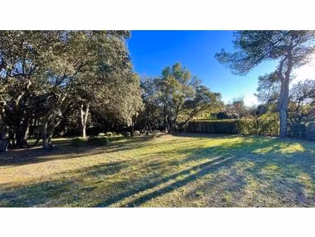 terrain