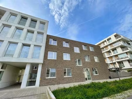 appartement à louer à ganzendries 7 hoboken (rbv87422)