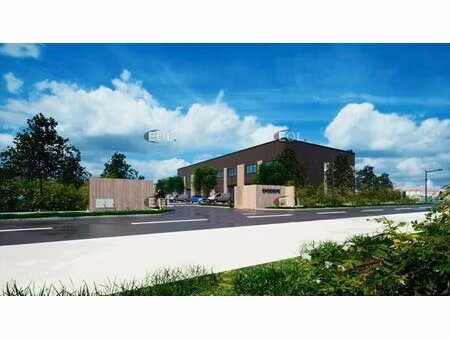 vente local d’activités nangis 77370 247m² à 1027m²