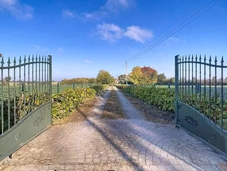 vente maison piscine à gesté (49600) : à vendre piscine / 138m² gesté