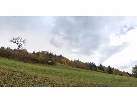 terrain