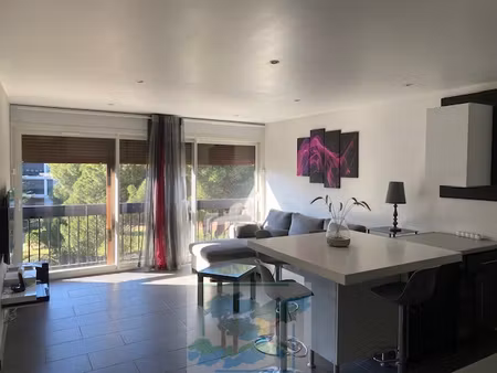 location appartement 3 pièces 53m² st cyprien 66750
