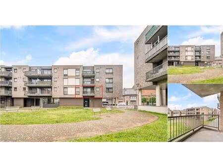 appartement à vendre à acht meilaan 52 maaseik (rbv87256)