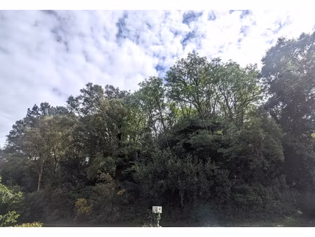 achat terrain 13 900m² tarnos 40220
