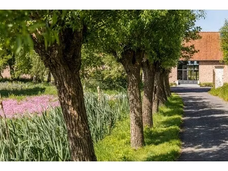 unieke hoeve met uitzonderlijk potentieel