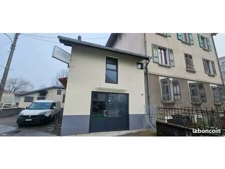 maison de ville rénovée avec jardin