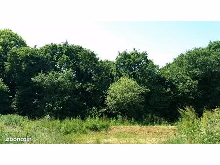terrain 598 m² erquy