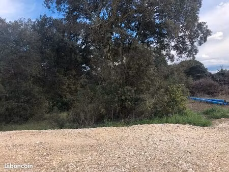 terrain 1 500 m² la baume de transit