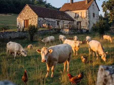 recherche exploitation agricole