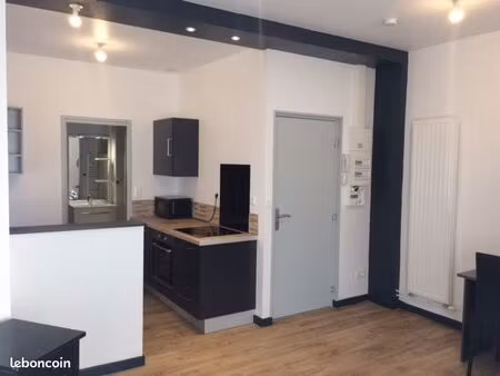 très beau studio quartier henriville