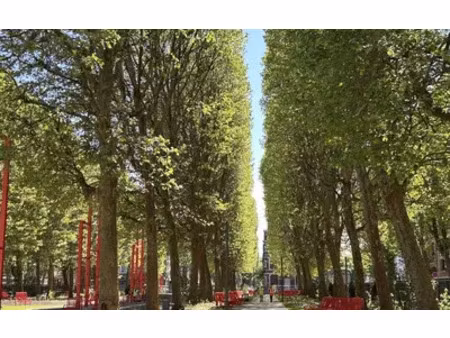 lille (59)