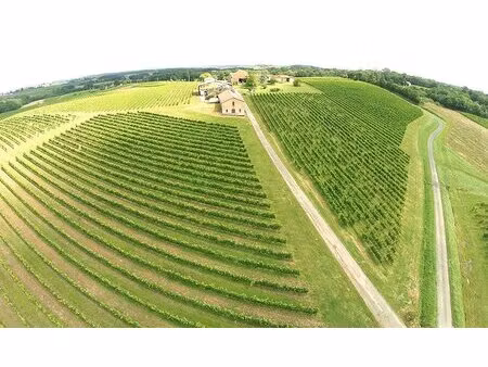 domaine viticole éco-responsable à vendre