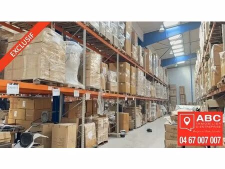 location local d’activités perpignan 66000 4275m²