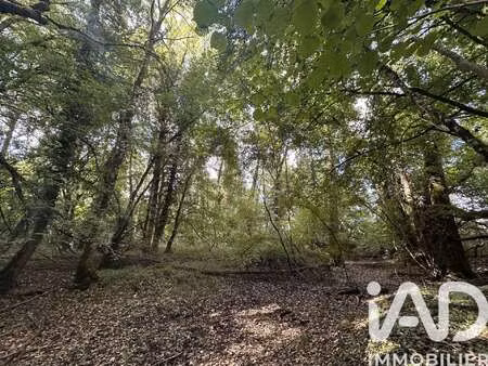 vente terrain à massay (18120) : à vendre / 11070m² massay