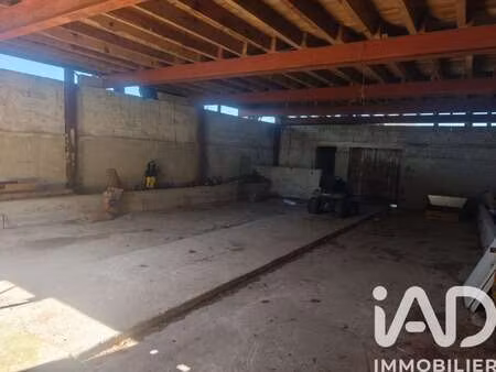 vente terrain à neuvicq (17270) : à vendre / 1009m² neuvicq